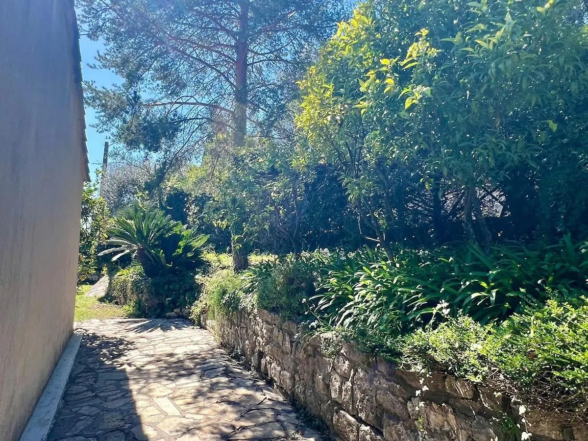 Charming Provencal Villa With Pool And Garden Mougins França